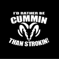 I’d rather be cummin than strokin!